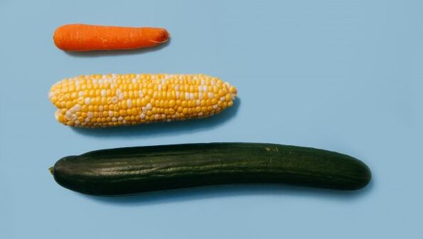 Olika storlekar på en manlig medlem på exemplet med grönsaker